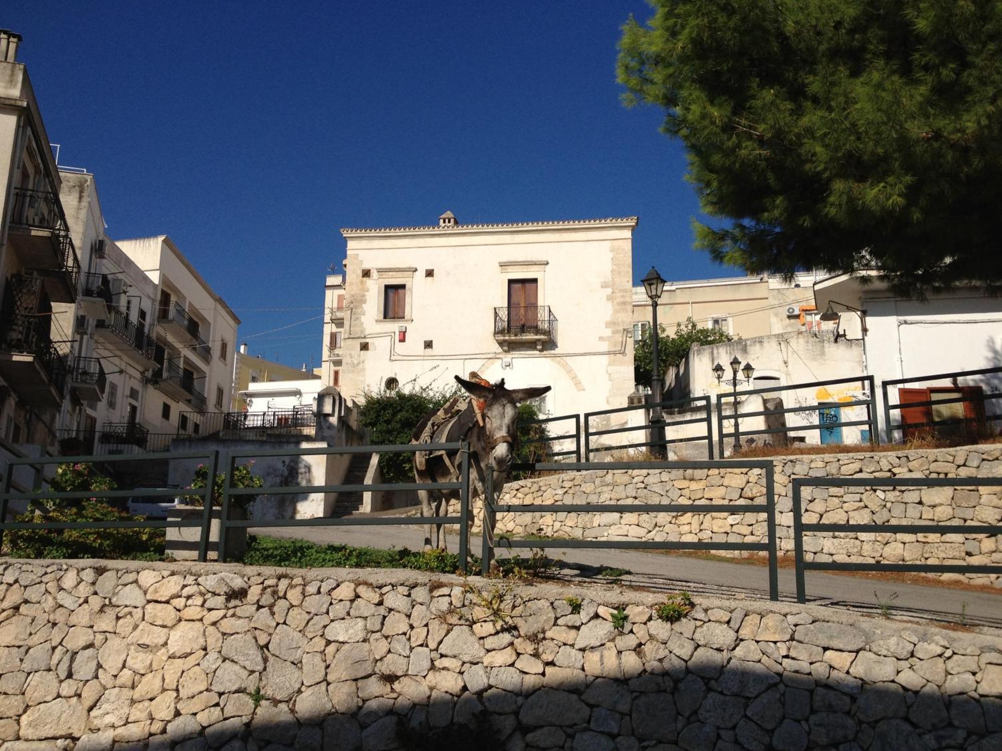 Villa Monte Saraceno Mattinata Exterior foto